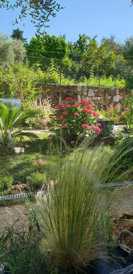 La Bastide Aux Oliviers Hotel Tourrettes-sur-Loup Exterior photo